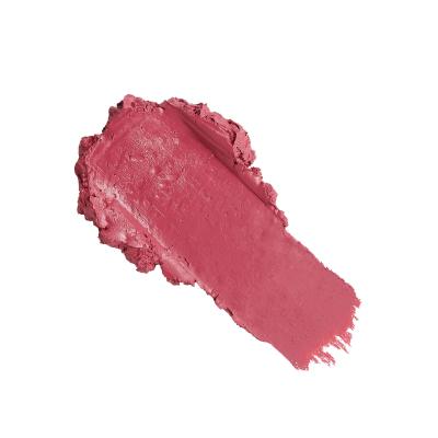 Revolution Pro New Neutral Satin Matte Lipstick Lippenstift für Frauen 3,2 g Farbton  Struck