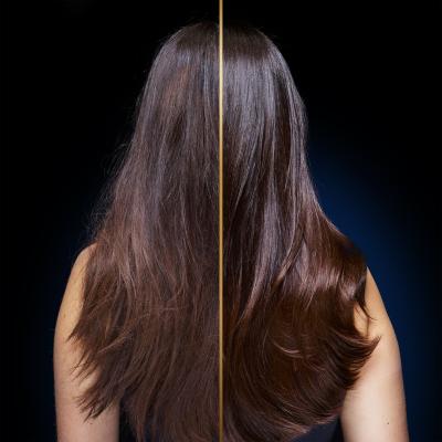 Garnier Botanic Therapy Magnetic Charcoal Hair Remedy Haarmaske für Frauen 340 ml