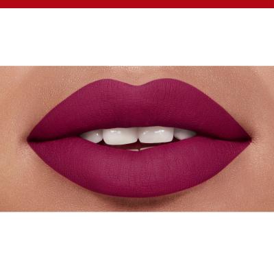 BOURJOIS Paris Rouge Edition Velvet Lippenstift für Frauen 7,7 ml Farbton  14 Plum Plum Girl