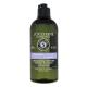 L'Occitane Aromachology Gentle & Balance Micellar Shampoo Shampoo für Frauen 300 ml