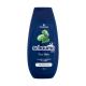 Schwarzkopf Schauma Men Classic Shampoo Shampoo für Herren 250 ml