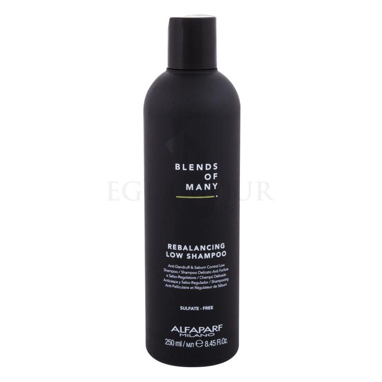 ALFAPARF MILANO Blends Of Many Rebalancing Shampoo für Herren 250 ml